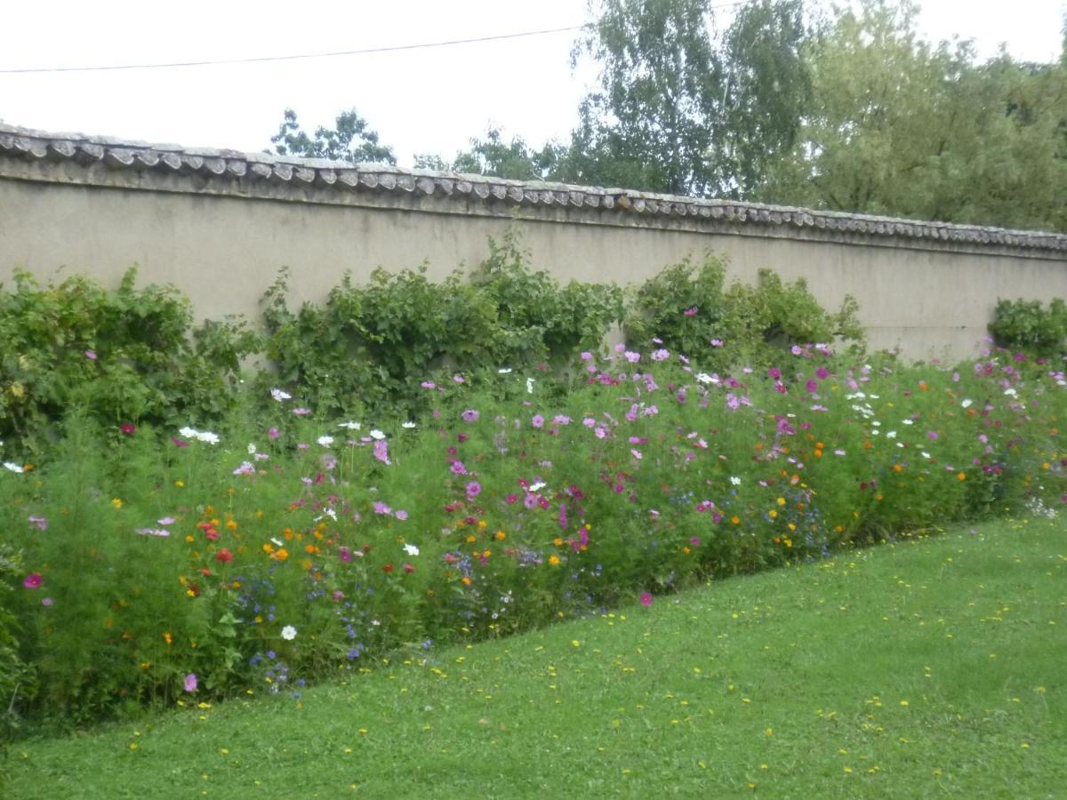 Chateau Des Charmes Guereins ภายนอก รูปภาพ